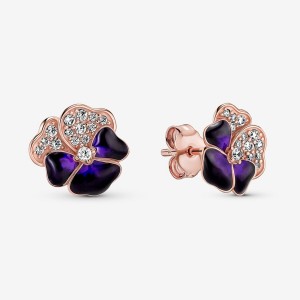 Pandora Deep Purple Pansy Flowers Stud Earrings Rose Gold Plated | 765-SEUQMR