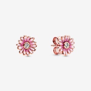 Pandora Pink Daisy Flowers Stud Earrings Rose Gold Plated | 061-OMYBWI