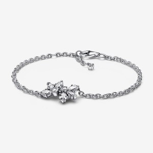 Pandora Sparkling Herbarium Cluster Non-charm Bracelets Sterling Silver | 023-ALRWIE