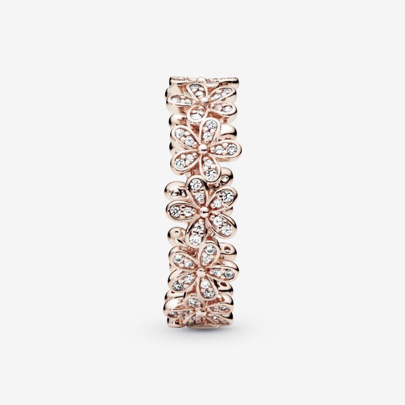 Pandora Daisy Flower Band Rings Rose Gold Plated | 583-YAERCJ