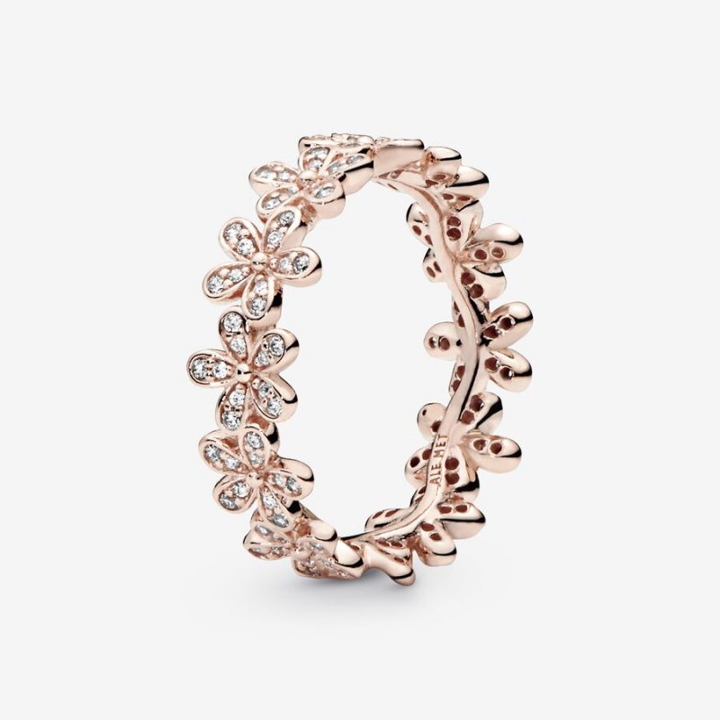 Pandora Daisy Flower Band Rings Rose Gold Plated | 583-YAERCJ