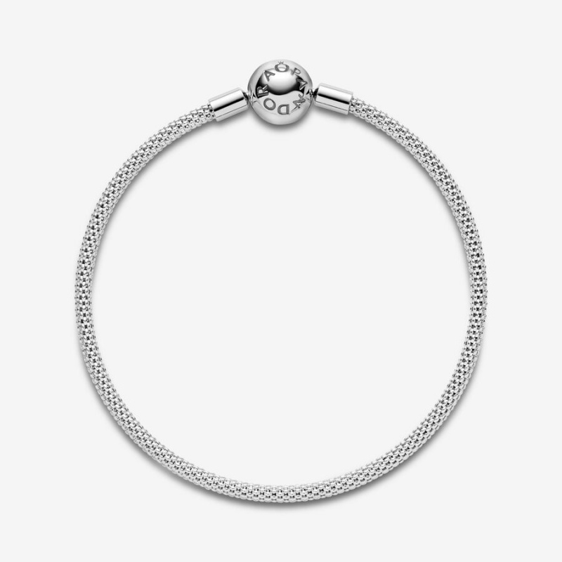 Pandora Moments Mesh Charm Bracelets Sterling Silver | 578-WERUKC