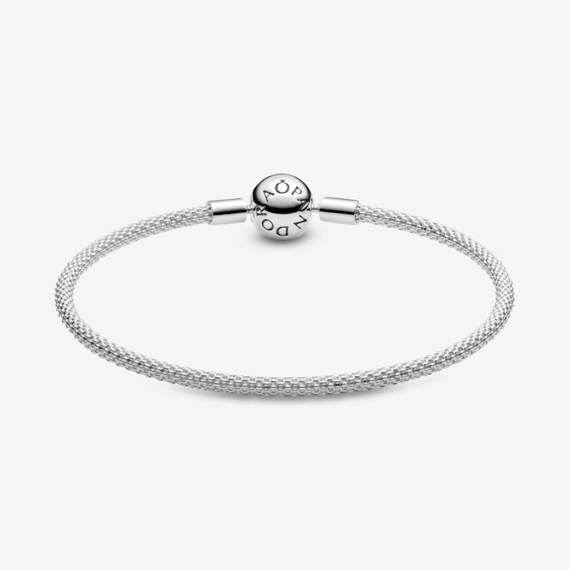 Pandora Moments Mesh Charm Bracelets Sterling Silver | 578-WERUKC