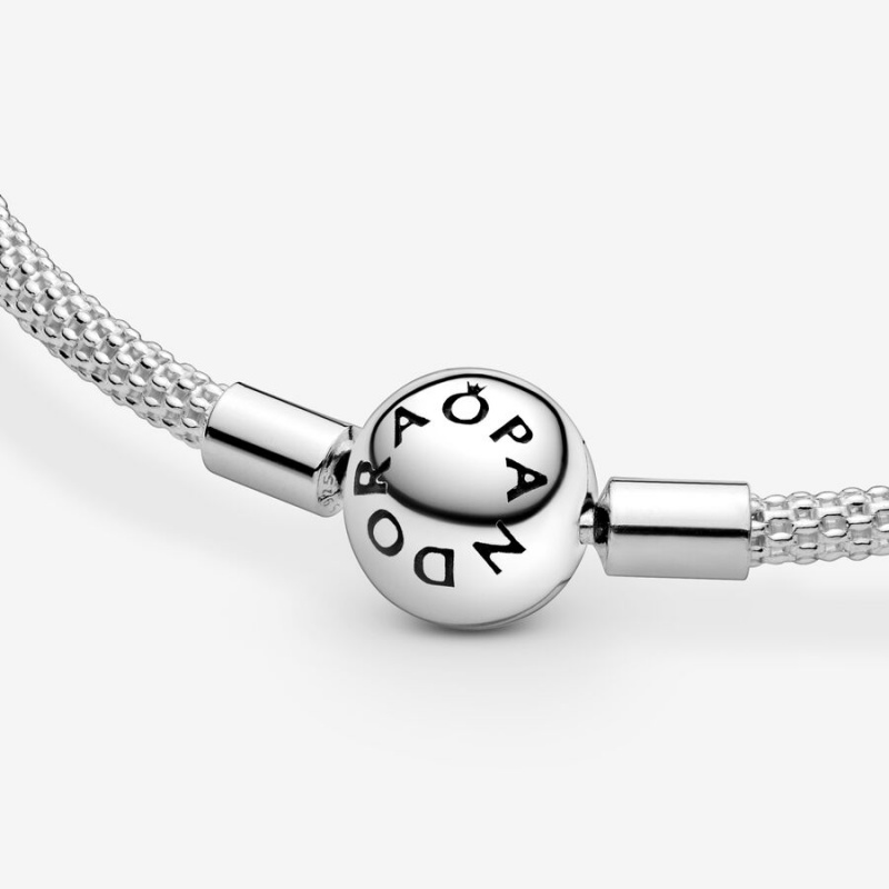 Pandora Moments Mesh Charm Bracelets Sterling Silver | 578-WERUKC