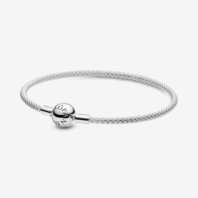 Pandora Moments Mesh Charm Bracelets Sterling Silver | 578-WERUKC