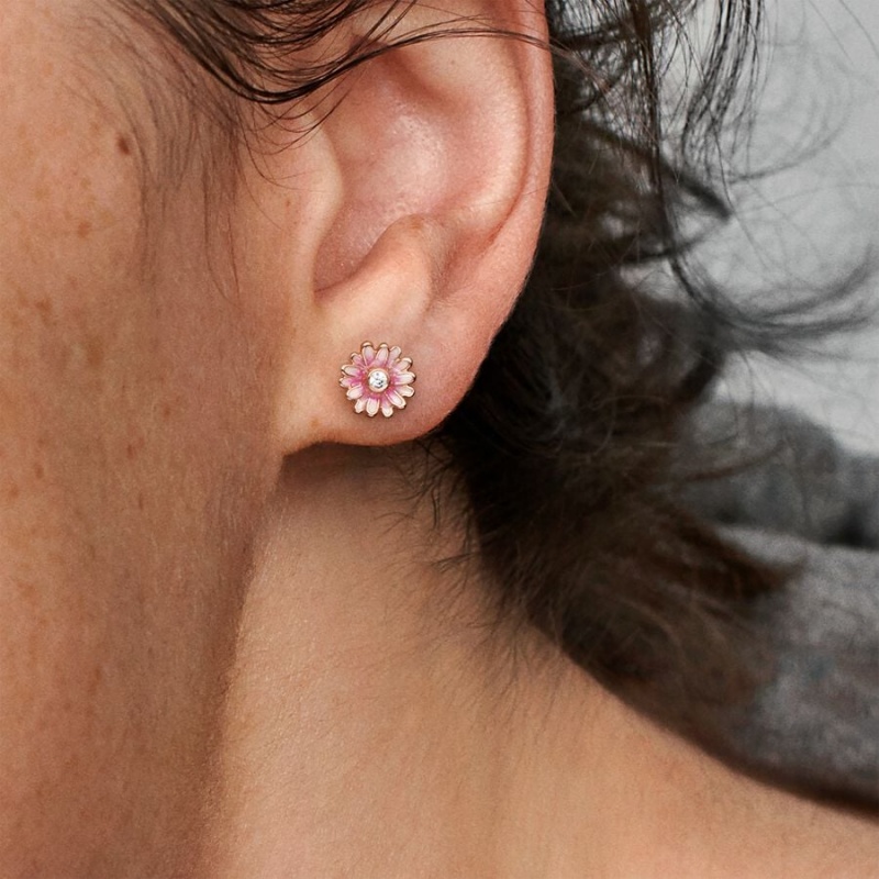 Pandora Pink Daisy Flowers Stud Earrings Rose Gold Plated | 061-OMYBWI