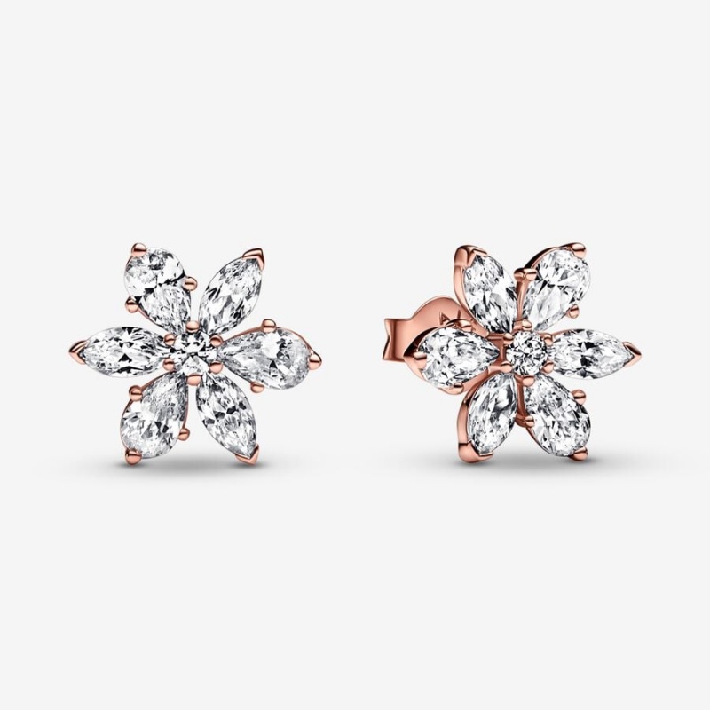 Pandora Sparkling Herbarium Clusters Stud Earrings Rose Gold Plated | 264-PULDCM