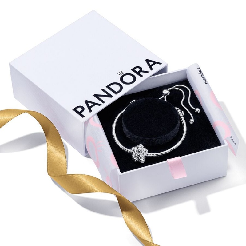 Pandora Sparkling Snowflake Sliding Set Charm Bracelets Sterling Silver | 174-QPEORG